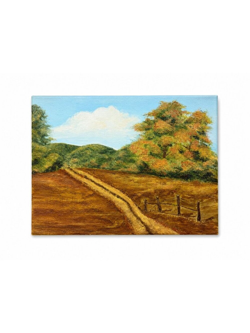 OIl on Canvas Unsigned Pastoral Rustic Hand Painted Unique Home Decor Art